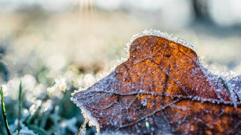 Heat Pump Not Working in the Morning: Common Causes