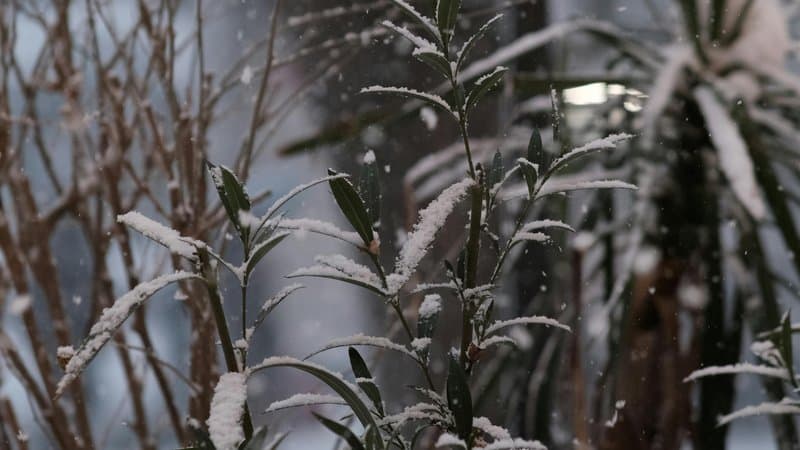 Heat Pump Winter Tips: Keep Your ASHP Efficient in Cold Weather